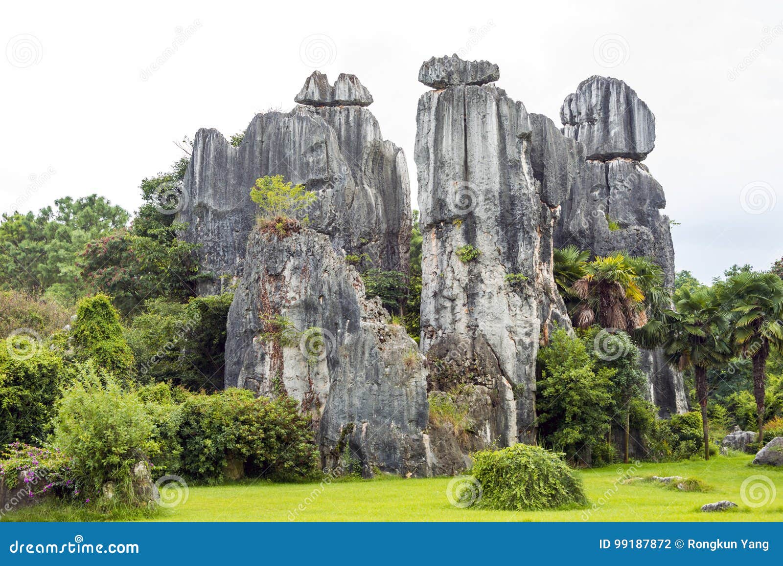the stone forest
